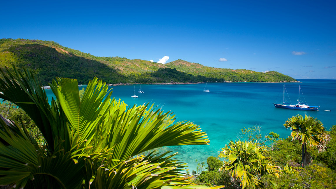 Insel Praslin Anse Lazio jungle