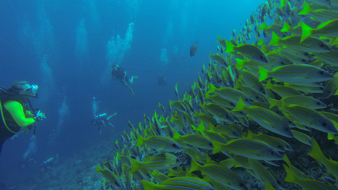Angsana Ihuru - auch unter Wasser atemberaubend