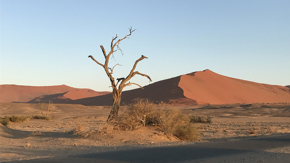 Namibia Rundreise mit Katharinas Reisen a la Carte