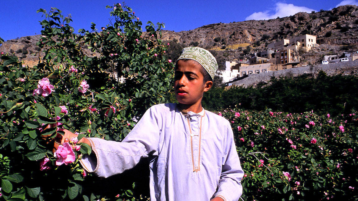 Junge pflückt Blumen im Sultanat