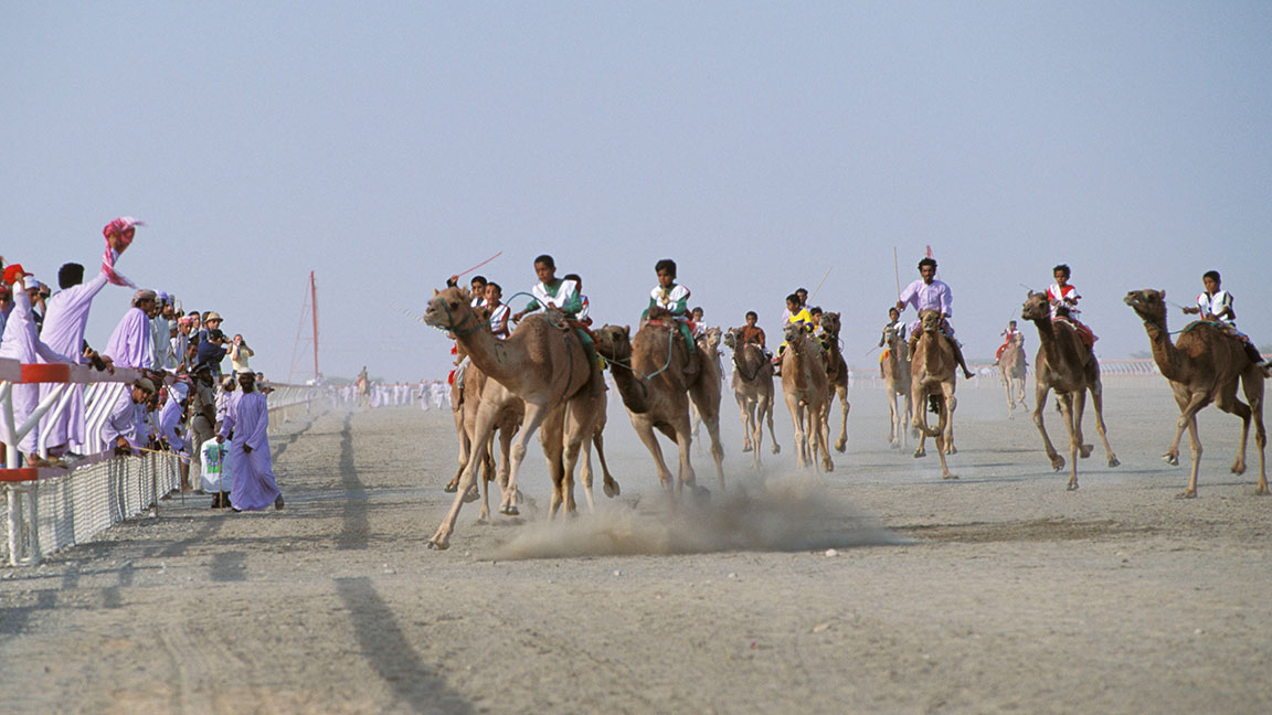 Kamelrennen im Oman