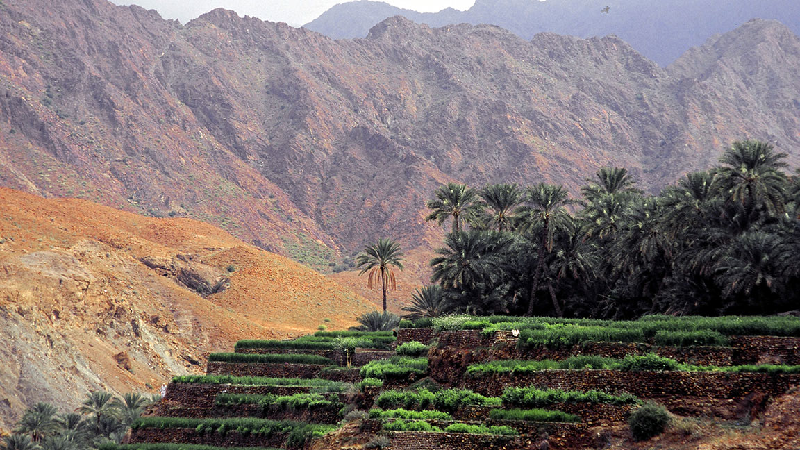 Bild von Reise in den Oman