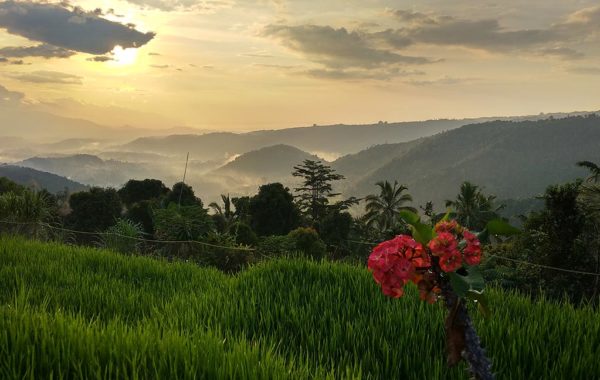 Sonnenuntergang in Munduk Bali