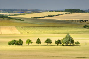 Naturschutzparadies Wachsenburg - Urlaub in Deutschland