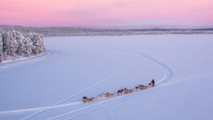 Mini-Gruppenreise nach Finnisch-Lappland