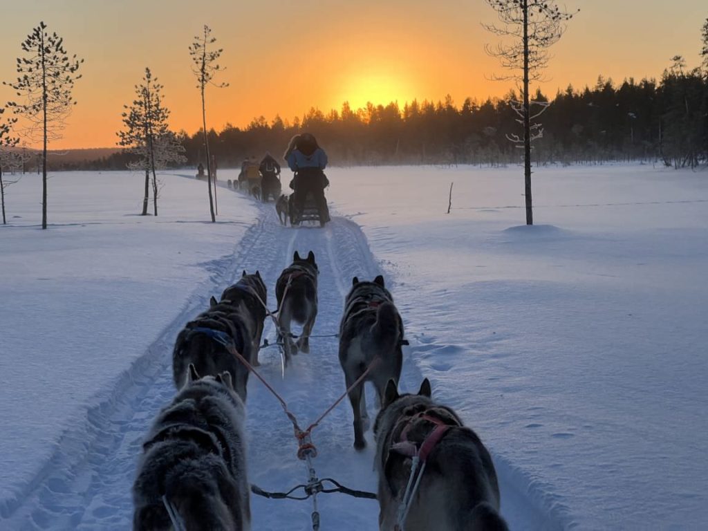 Nordische Abenteuer in Finnisch-Lappland 2024