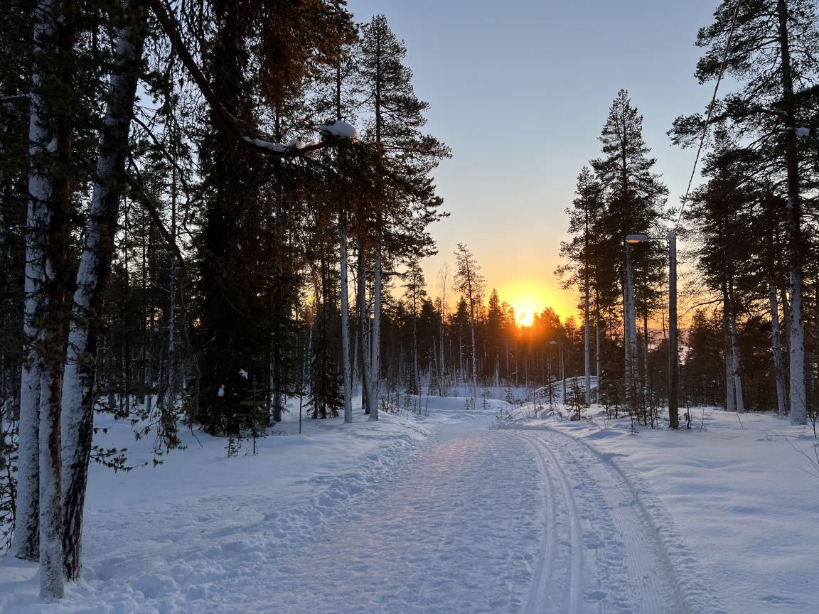Nordische Abenteuer in Finnisch-Lappland 2024