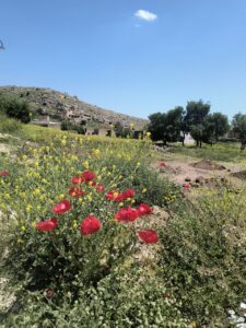 Höhepunkte einer außergewöhnlichen Türkei Rundreise: Verlassenes Jesidendorf in Ostanatolien