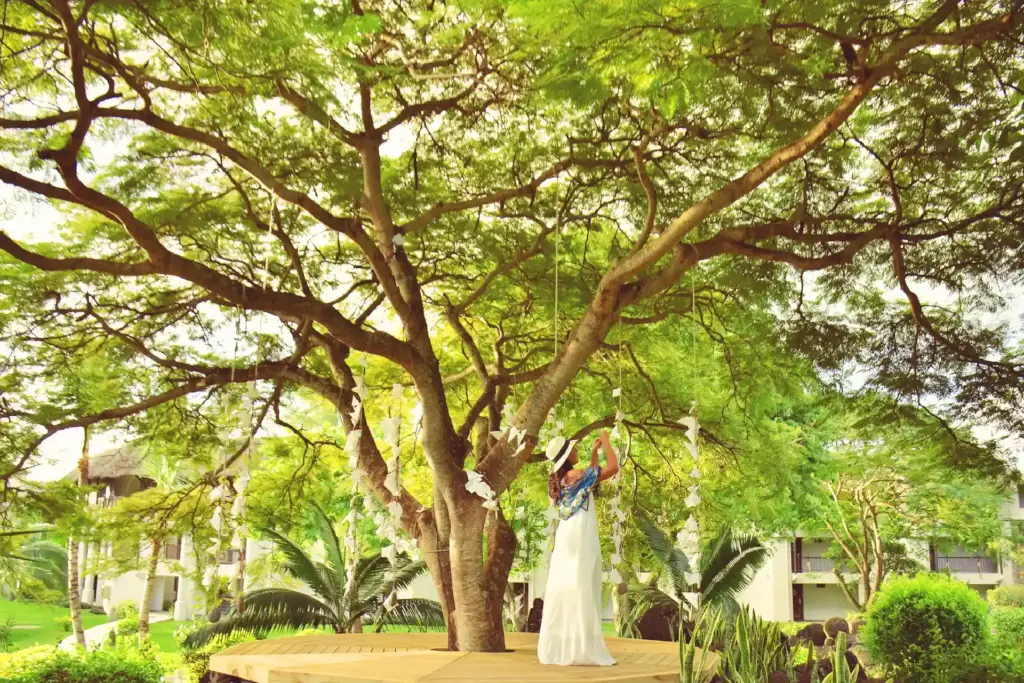 Eine Frau in langem Kleid steht unter einem riesigen grünen Baum - erleben auch Sie die ganze natürliche Schönheit von Mauritius mit Fenners Reisen