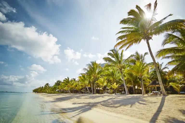 Ein Strand wie aus dem Bilderbuch - feiner Sand, türkises Meer und hohe Palmen. Das hat das luxuriöse LUX Le Morne auf Mauritius zu bieten, buchbar bei Fenners Reisen.