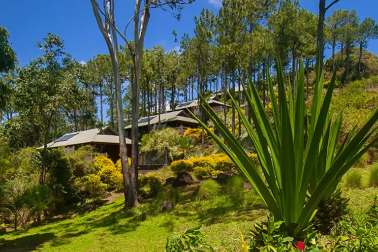Blick auf einstöckige Gebäude, die sich an einen tropischen Hang schmiegen. Das intime Boutique-Hotel Lakaz Chamarel Exclusive Lodge liegt idyllisch in einem zwölf Hektar großen tropischen Garten etwa 400 Meter über dem Meeresspiegel. Buchen Sie eine traumhafte Auszeit auf Mauritius bei Fenners Reisen!