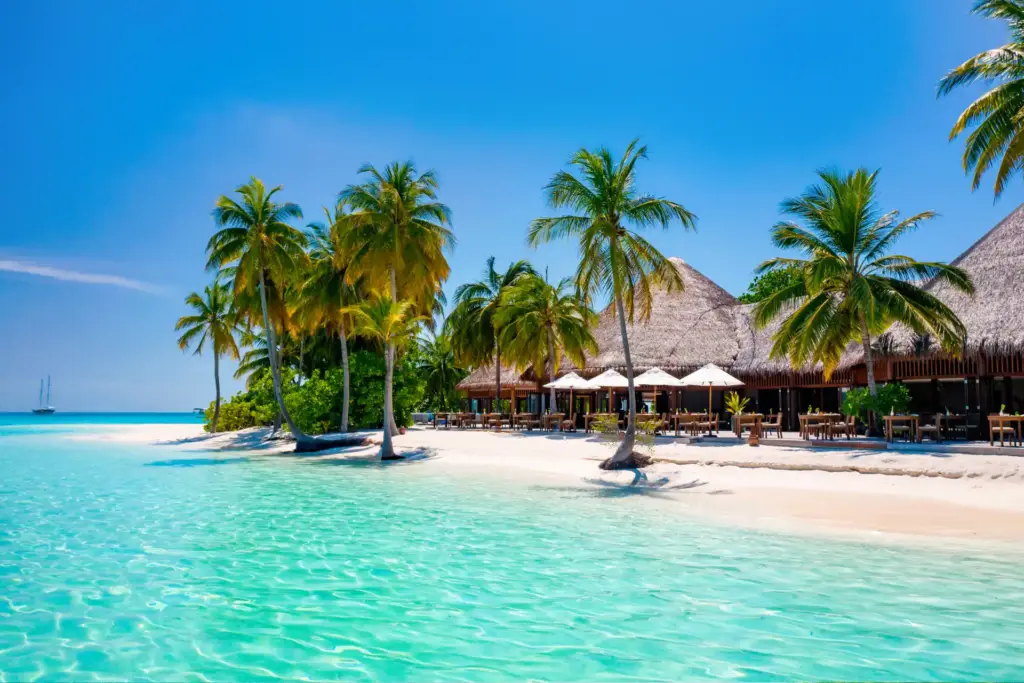 Ein einsamer Strand am schimmernden Meer, Kokospalmen und strohgedeckte Gebäude - so paradiesisch empfängt das Mirihi Island Resort, buchbar bei Fenners Reisen.