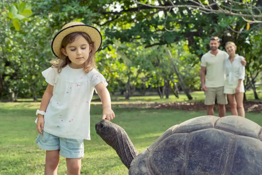 Ein Mädchen streichelt eine Riesenschildkröte auf der luxuriösen North Island Seychelles, buchbar für Ihren Seychellen Luxusurlaub bei Fenners Reisen