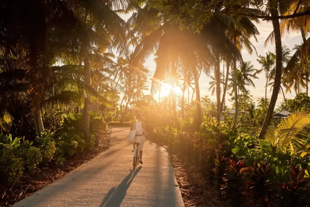 Eine Radfahrerin radelt im Sonnenuntergang über einen Holzsteg durch einen tropischen Urwald, im Hintergrund erahnt man bereits den Ozean - ein Luxusurlaub auf den Seychellen hat so viel mehr zu bieten als nur Sonne, Strand und Meer! Katharina Fenners berät Sie persönlich, das Erstgespräch ist völlig kostenlos!