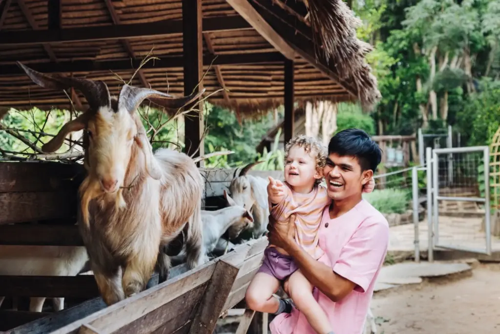 Ein Kind und sein Vater streicheln eine Ziege auf dem Biobauernhof des Six Senses Samui in Thailand. Sie planen einen Thailand Familienurlaub? Katharina Fenners kennt die besten Familienresorts in Thailand und berät Sie individuell!