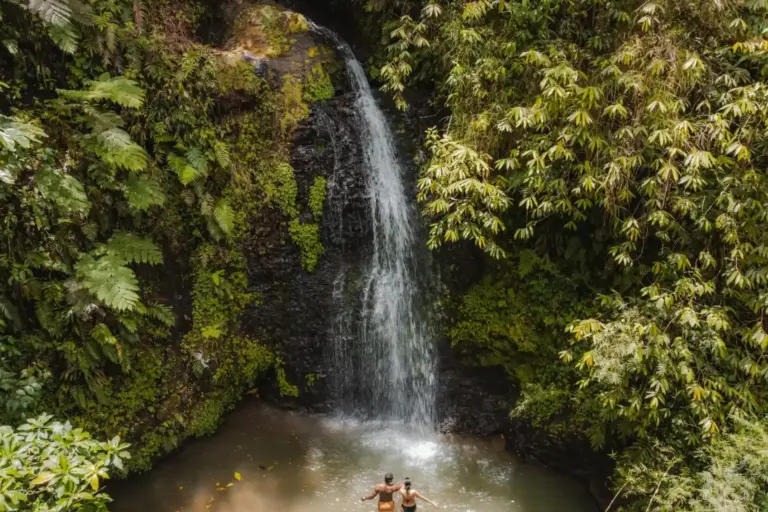 Ein Wasserfall unweit des Club Med Martinique - die anspruchsvollen Clubresorts regen dazu an, sich in der Natur zu erholen. Noch Fragen? Katharina Fenners berät Sie individuell!
