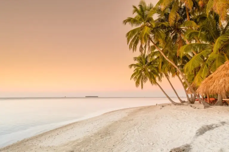 Ein absolut einsamer Strand mit Palmen im Sonnenuntergang. Sie möchten eine Privatinsel mieten, zum Beispiel in der Karibik? Katharina Fenners verwirklicht Ihre Träume! Jetzt kostenlos beraten lassen!