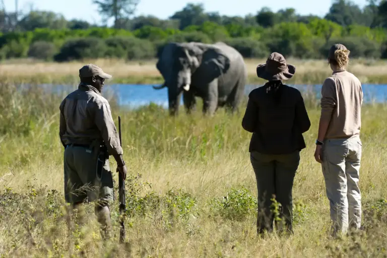 Drei Personen beobachten einen Elefanten ganz aus der Nähe - möglich ist das unter anderem im Chobe-Nationalpark. Ein heißer Tipp für Ihre individuelle Botswana-Safari mit Fenners Reisen!