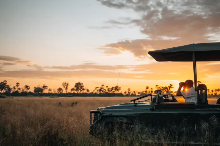 Ein Mann mit Fernglas im Jeep, vor sich eine weite Ebene, der Horizont glüht orange im Sonnenuntergang. Katharina Fenners macht Ihre individuelle Botswana Safari zu einem echten Once In A Lifetime Erlebnis!