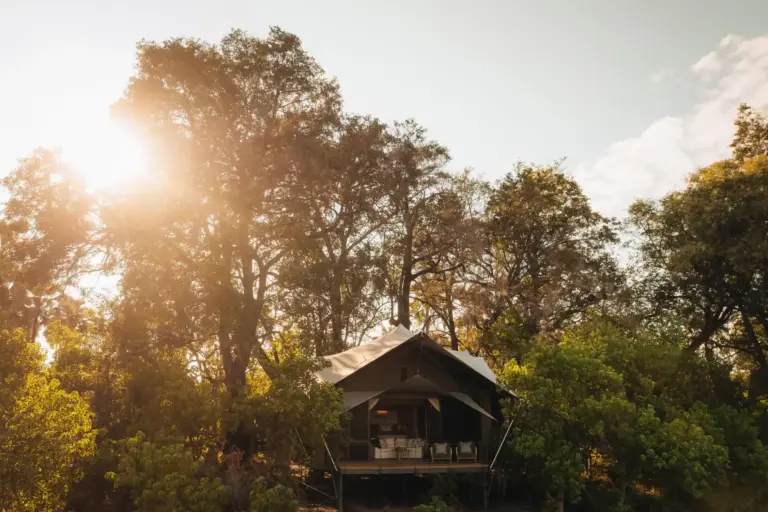 Das Wilderness Chitabe Camp mit seinen acht stilvollen Unterkünften zählt zu den besten Safari-Adressen Botswanas. Katharina Fenners organisiert Ihren maßgeschneiderten Aufenthalt!