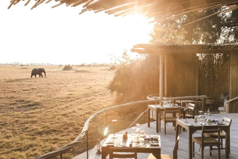 Die Holzterrasse eines Restaurants, im Hintergrund grast ein Elefant - das ikonische Wilderness Mombo Camp in Botswana steht für Wildnis in ihrer exklusivsten Form und kann bei Katharina Fenners individuell gebucht werden.