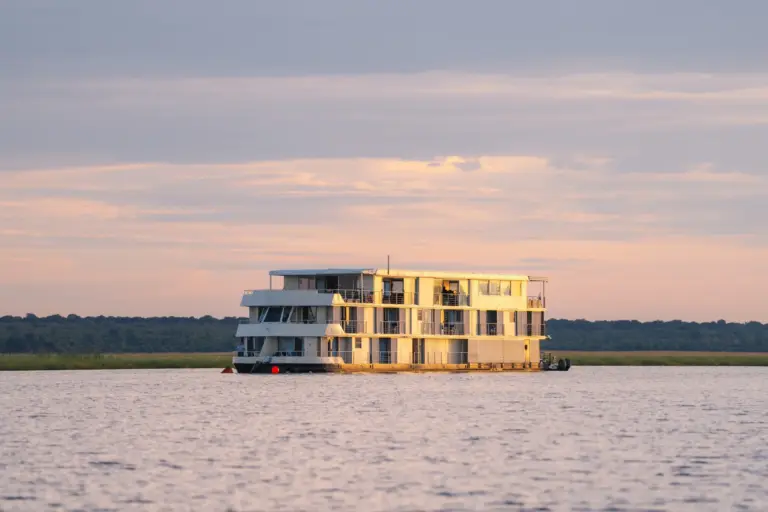 Das Schiff der Zambezi Queen Collection tuckert im goldenen Licht der untergehenden Sonne über den Chobe River zwischen Namibia und Botswana. Exklusiv buchbar ist der Aufenthalt im Rahmen einer individuellen Botswana Safari bei Fenners Reisen!