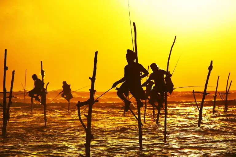 Stelzenfischer bei Sonnenauf- oder -untergang vor der Küste Sri Lankas - ikonische Szene einer individuellen Tour durch Sri Lanka, buchbar bei Fenners Reisen.