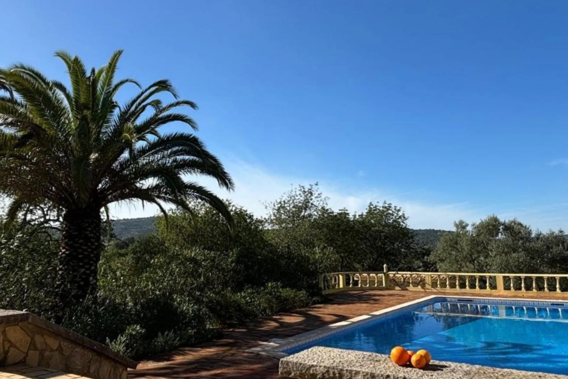 Orangen liegen an einem Pool mit Blick auf Palmen und Olivenbäume - Natur pur genießen Gäste der Casa Colmeia in der Algarve, individuell buchbar bei Fenners Reisen!