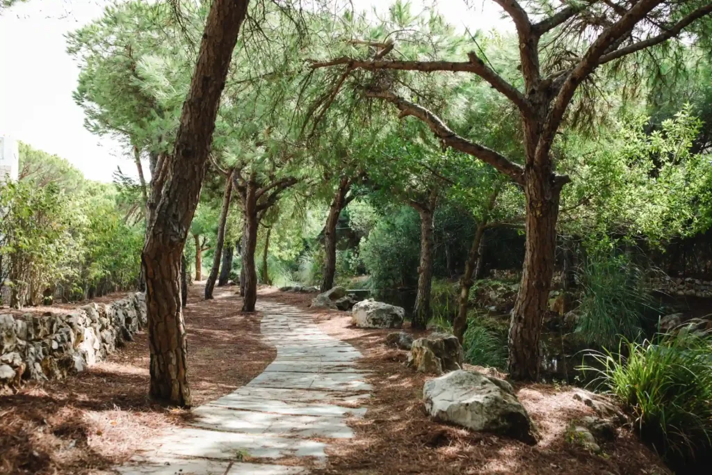 Pinienwald an der Ostalgarve, ein gepflasterter Weg führt zum Strand. Sie planen einen Portugalurlaub und sind auf der Suche nach dem richtigen Hotel? Katharina Fenners kennt die besten Resorts und Hotels des Landes und berät Sie individuell!