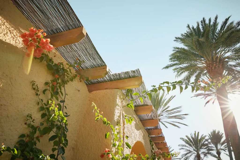 Bunte Blumen ranken sich um die niedrigen Nebengebäude des ROBINSON Jandia Playa - der Aufenthalt kann bei Fenners Reisen individuell gebucht werden