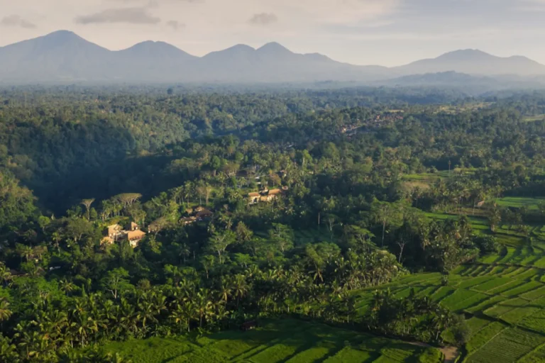 Das COMO Shambhala Estate liegt im Dorf Melinggih Kelod bei Payangan, eingebettet in tropischen Regenwald, Schluchten und sonnenverwöhnte Täler. Katharina Fenners gestaltet Ihre maßgeschneiderte Rundreise durch Bali!