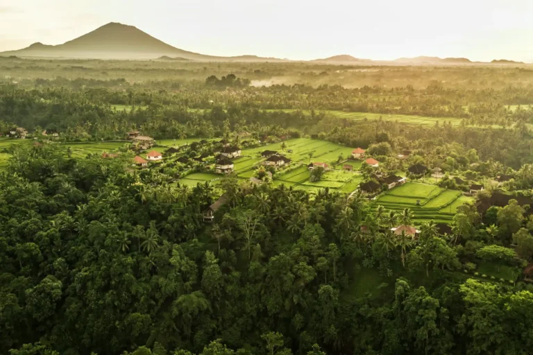 Reisfelder rund um Ubud - das ist die malerische Umgebung des COMO Uma Ubud Resorts. Die lichtdurchfluteten Zimmer, Suiten und Villen sind individuell bei Fenners Reisen buchbar, zum Beispiel im Rahmen einer maßgeschneiderten Bali Rundreise.
