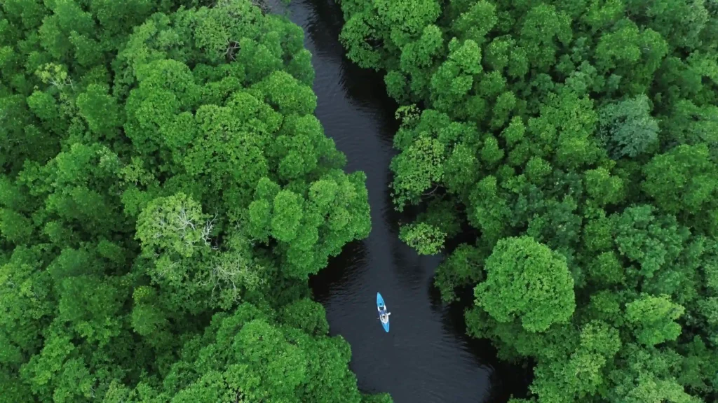 Vogelperspektive auf ein Boot, das über einen von dichtem Regenwald umschlungenen Fluss fährt - die Insel Song Saa bietet Entspannung und Abenteuer im Rahmen vielseitiger Kambodscha Rundreisen. Katharina Fenners gestaltet Ihre Reise durch Kambodscha ganz nach Ihren Wünschen.